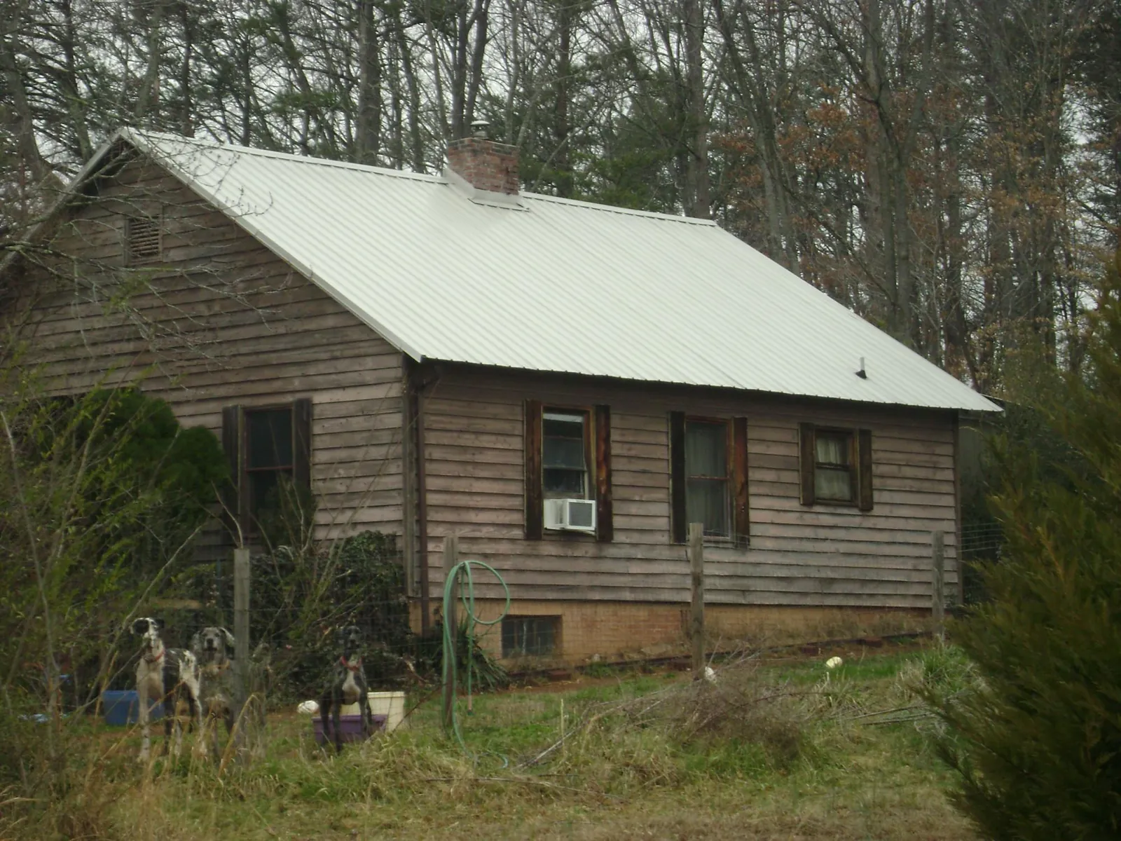 White metal roof on an old wood sided farmhouse, from a Asphalt Shingle Roof Repair job in Max